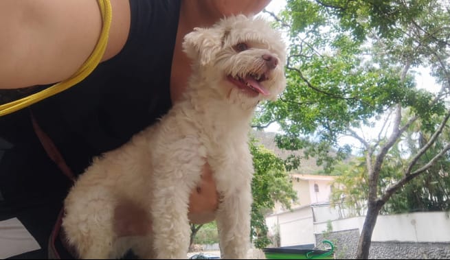 German..... tweet media