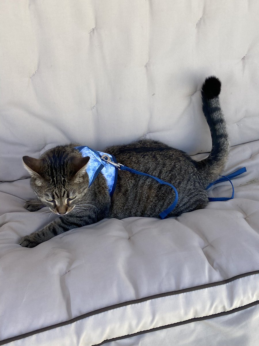 i loafe beeimg outside