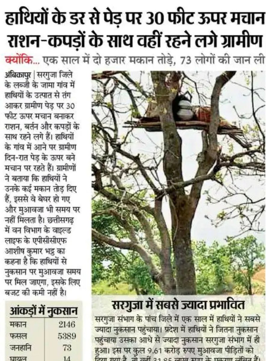 हमारे कबिलाई  विपरीत परिस्थितियों में भी संघर्ष कर रहे हैं प्रकृति के लिए अपनी जान दाव पर लगा रहे हैं। जोहार क़बीला
#SaveHasdeo
#ERCP_Public_Demand
