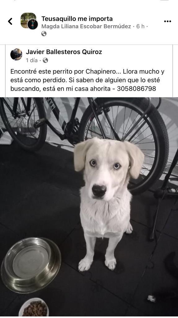 HELIODOPTERO's tweet photo. URGENTE. https://t.co/Bu5S88L7kc