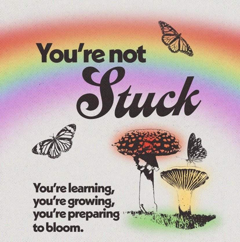 *:･ﾟ✧(ꈍᴗꈍ)✧･ﾟ:* tweet media