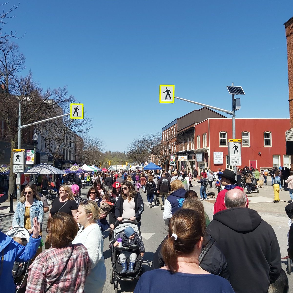 Vote4Tony2022's tweet image. Great day hitting the doors and attending #MapleFest in #Bowmanville. Thank you to everyone for the great conversations and letting me tell my story. #onpoli #Vote4Tony2022