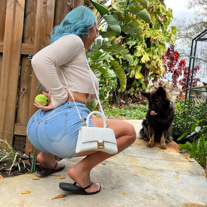 My next man gotta look at me the way Mishka looks at tennis balls 😂 https://t.co/IjO2EznQUS<a href="/tag/newprofilepic"class="tags"><span>#newprofilepic</span></a>