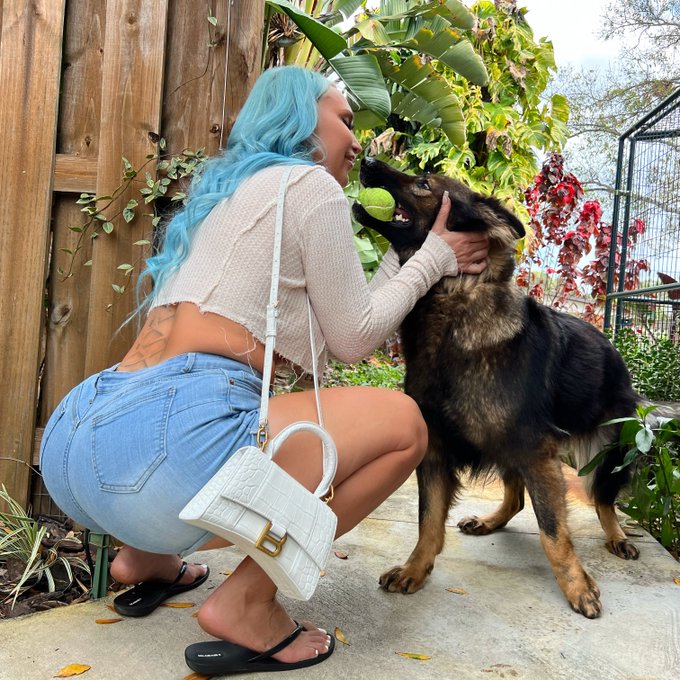 My next man gotta look at me the way Mishka looks at tennis balls 😂 https://t.co/IjO2EznQUS<a href="/tag/newprofilepic"class="tags"><span>#newprofilepic</span></a>