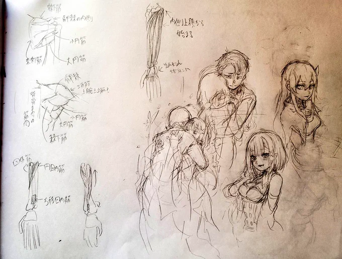 人体の練習ひたすらしてたんですが、筋肉描いてる時に突然カサネル描きて〜ってなったので筋肉の隣にカサネルの落書きがきてます。 