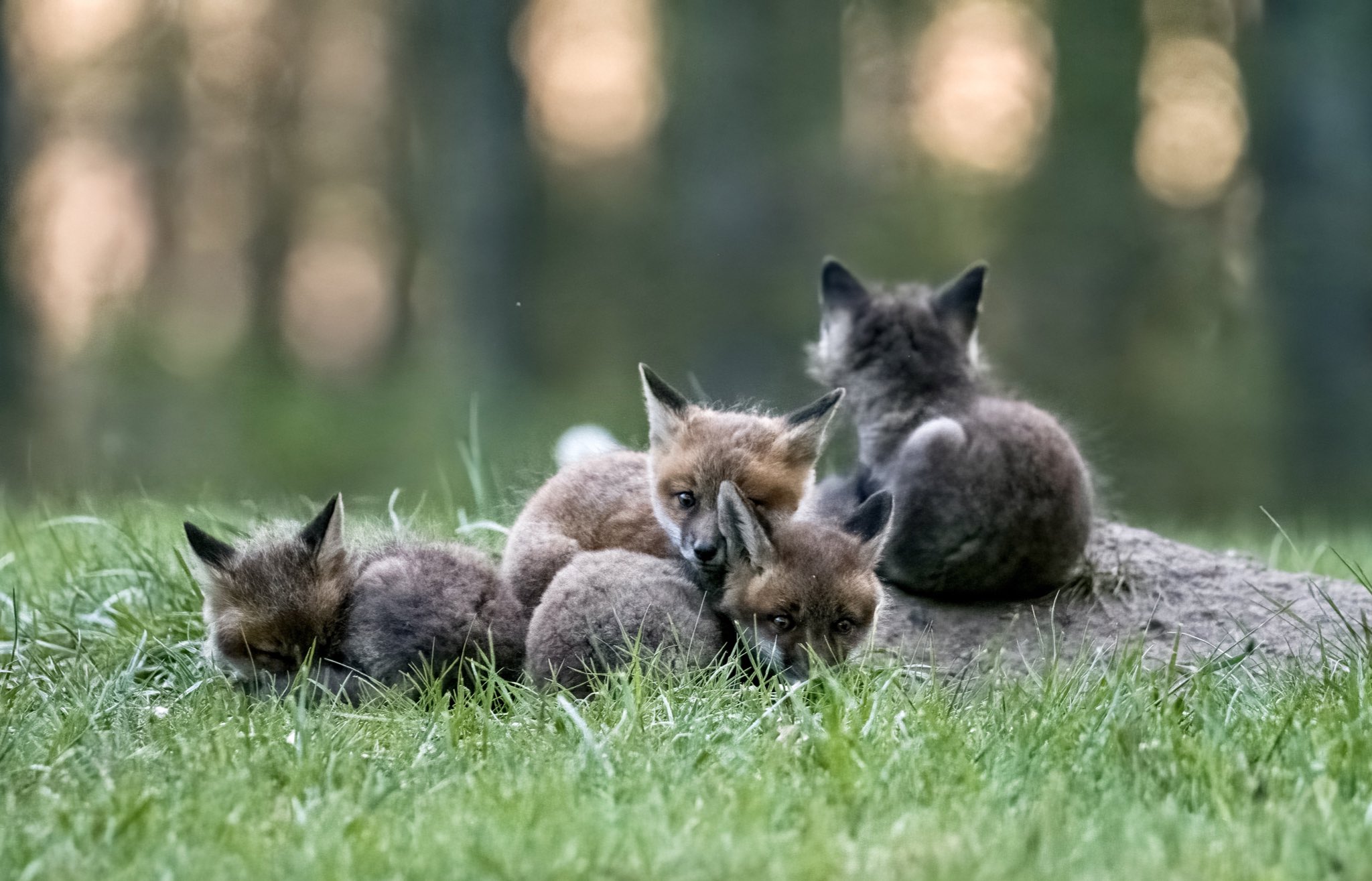 The Hoarse Whisperer on Twitter "4/5 https//t.co/12nshWV4I0" / Twitter