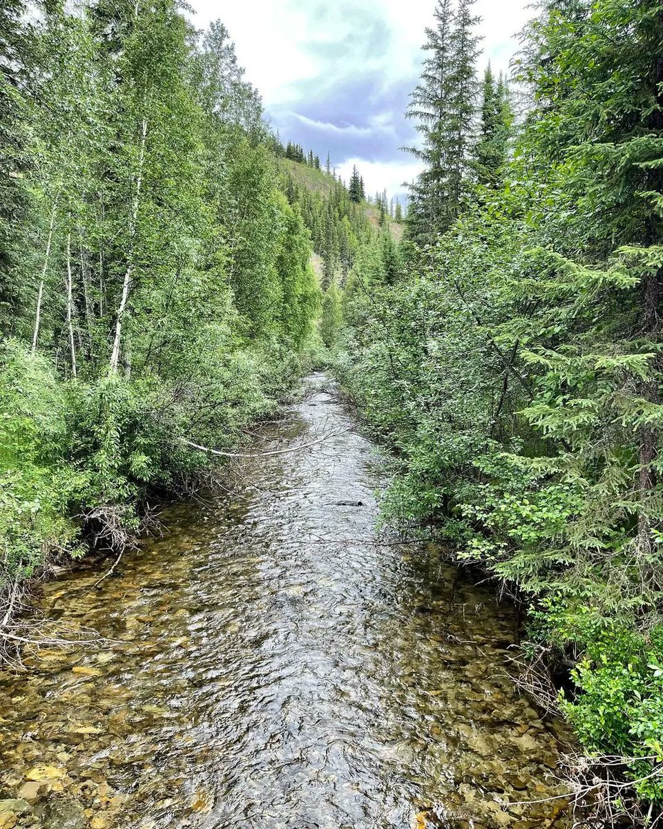 ChenaHotSprings's tweet photo. Can't beat Summer at Chena! 🌲
Reposting @aph_debord
#summerfun #alaskasummer #visitus https://t.co/Yuz6yLnFdc
