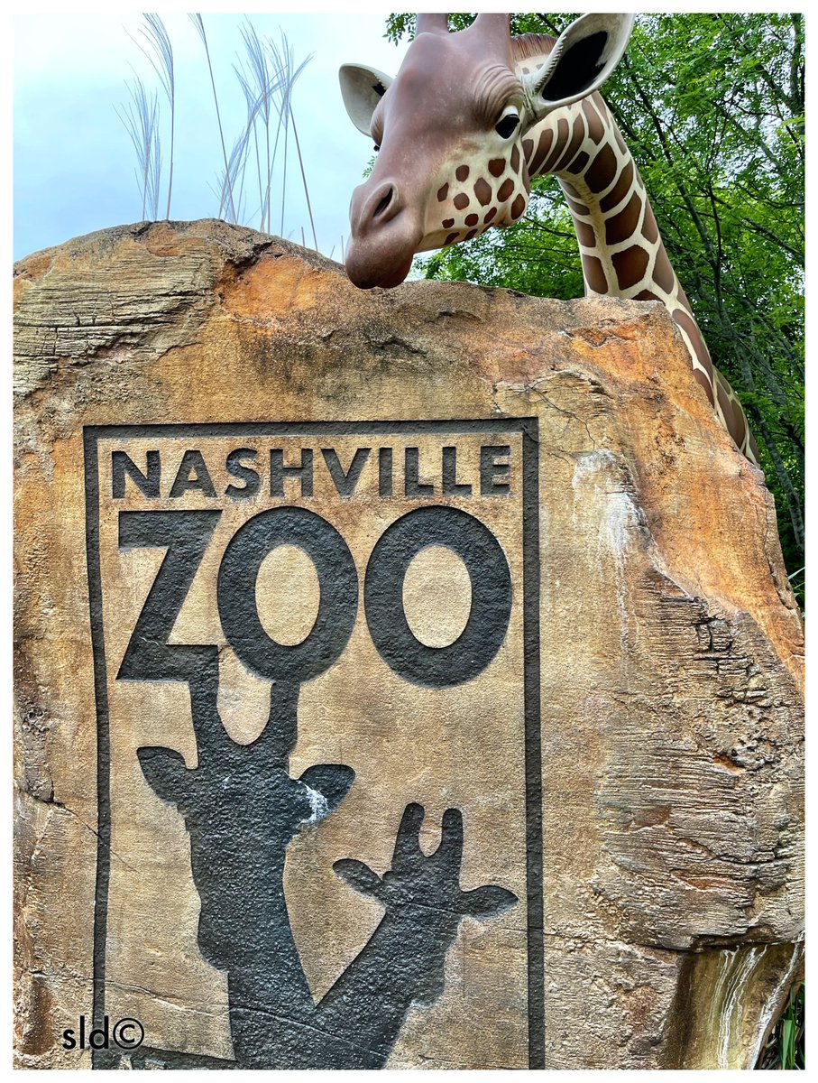 StevenDycus's tweet photo. @NashvilleZoo We’ve lived in the greater Nashville area for thirty-years &amp; managed our first visit to this amazing zoo today! Great family friendly venue — looking forward to more visits. @visitmusiccity  @TNVacation https://t.co/aibRMIQLj0