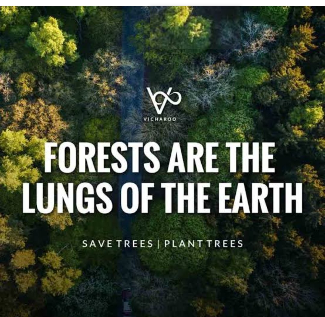 TanuAgr96172977's tweet photo. Save forest
#SaveHasdeo
@Earthworri1 @OxygenBoyOffic1 https://t.co/Godr9eha0H