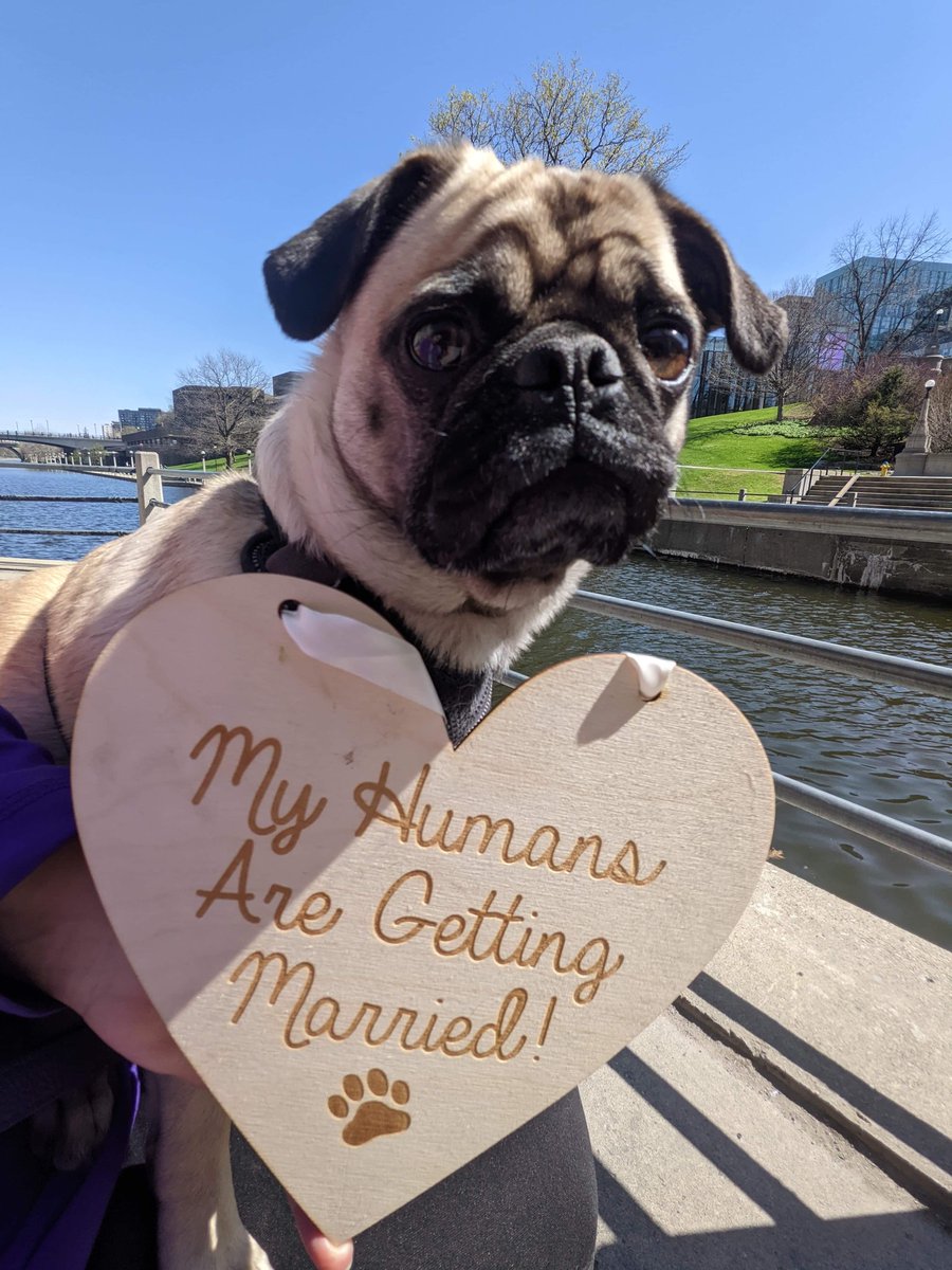 🇨🇦 Aimee 🇨🇦 (@littlest_petite) on Twitter photo 