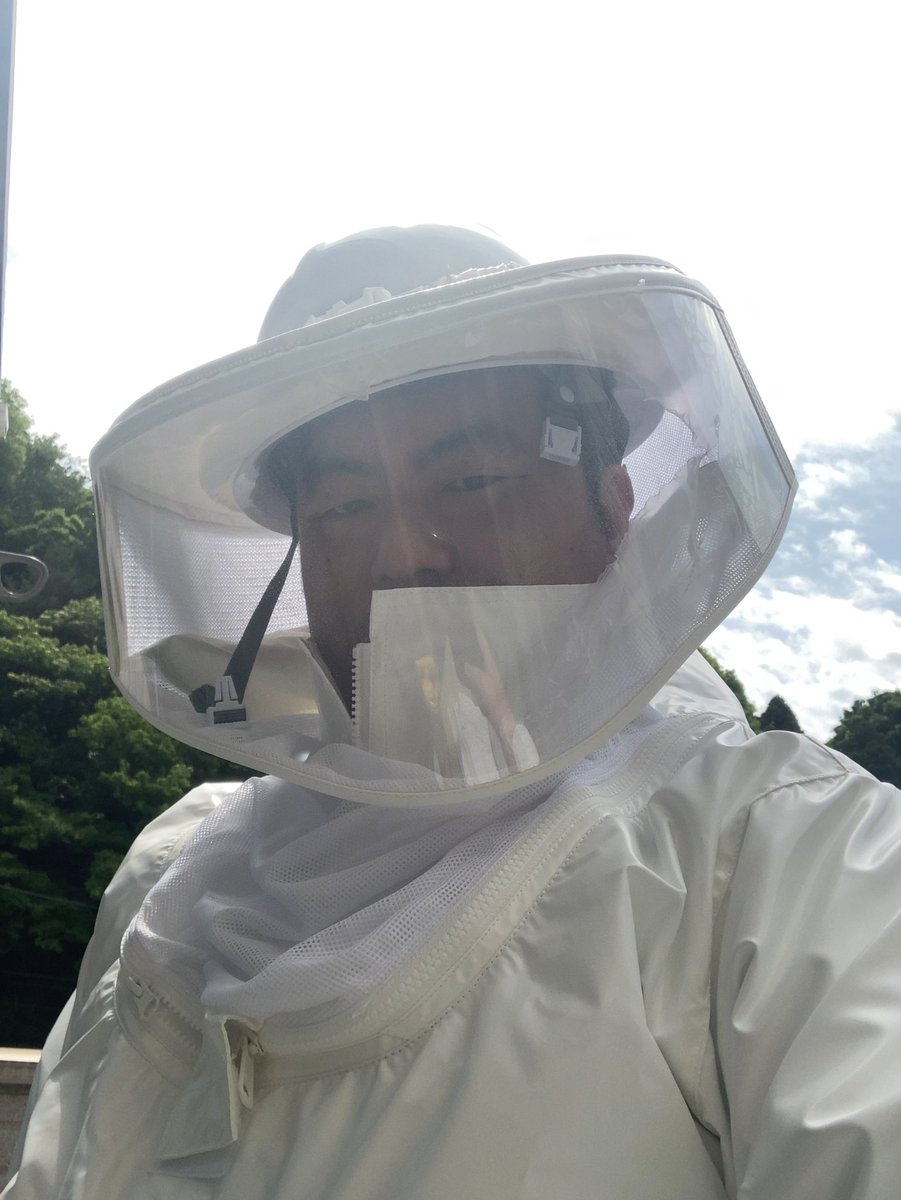 benriya_7emon's tweet photo. 便利屋はちえもん（仮名）

スズメバチ駆除　承ります‼️

ヒロシ先生（仮名）から頂いた対スズメバチ戦闘服ラプター（扇風機つき）を着て自宅ベランダに出来たアシナガバチの巣を駆除シタ‼️

#スズメバチ　#スズメバチ駆除
＃アシナガバチ　#蜂駆除 https://t.co/it2cY0lTTt