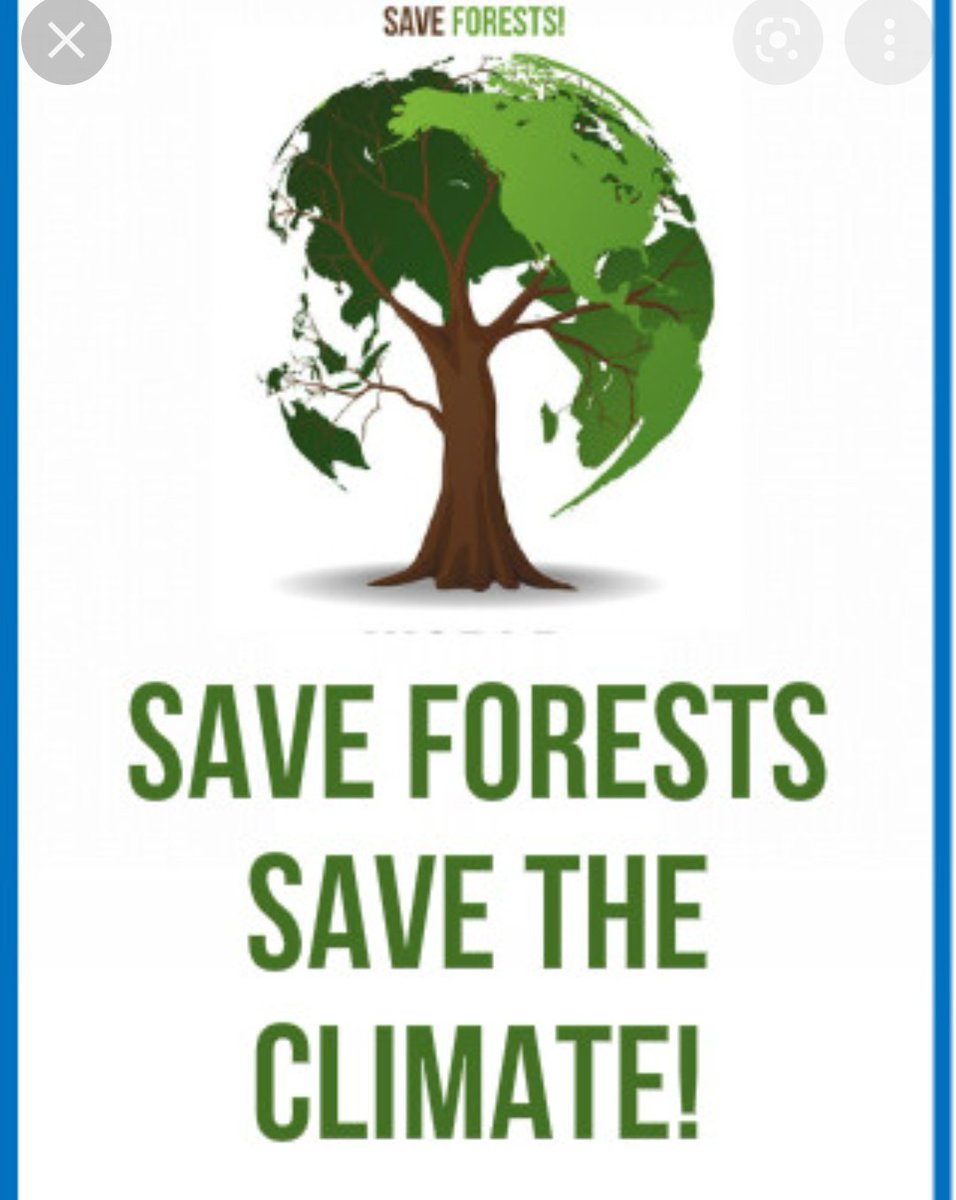 TanuAgr96172977's tweet photo. Save nature
#SaveHasdeo https://t.co/eK9st7oWtu