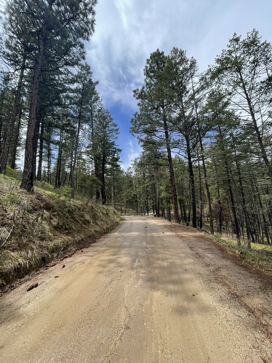 Caleb Swartz tweet media