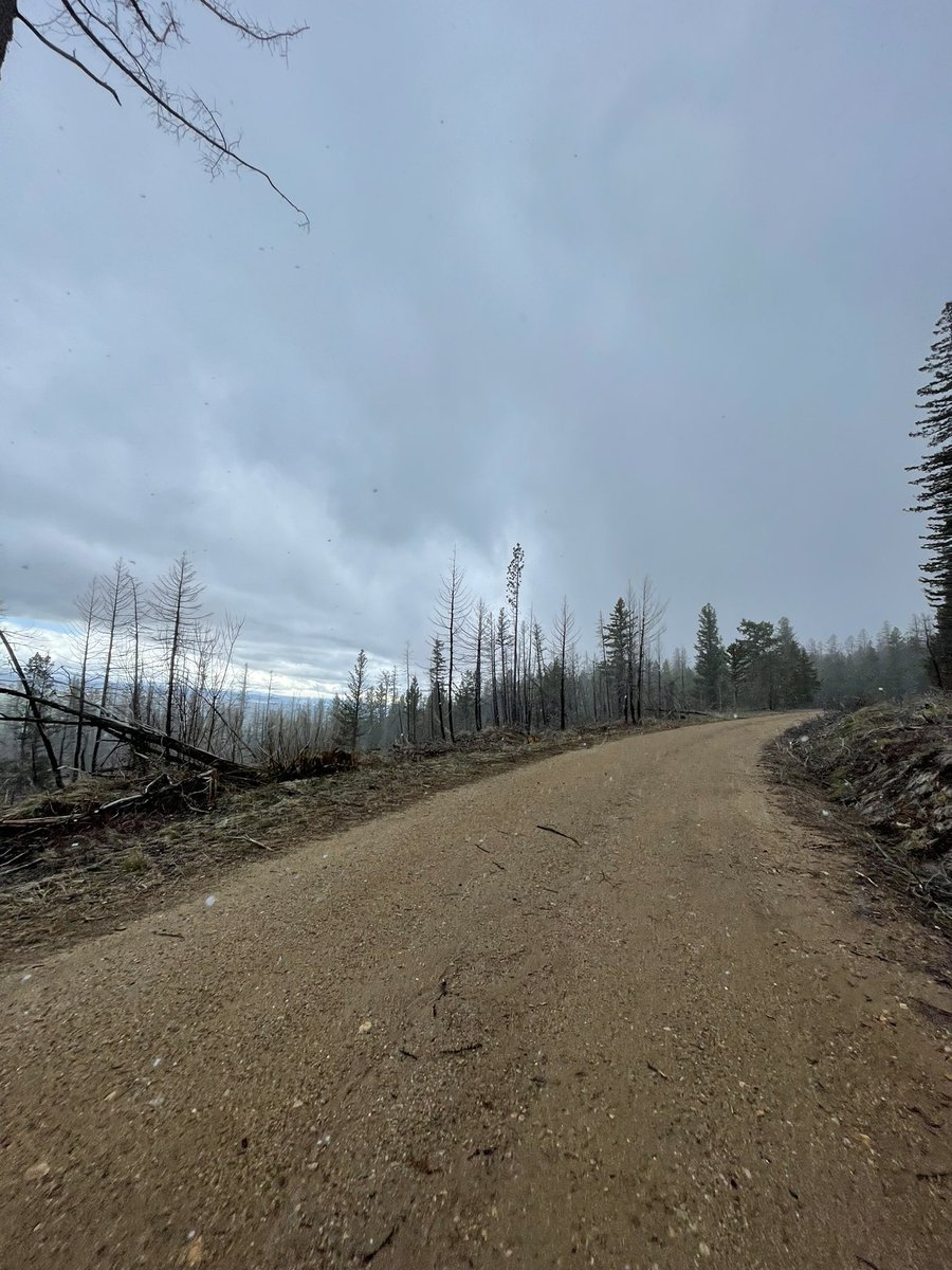 Caleb Swartz tweet media