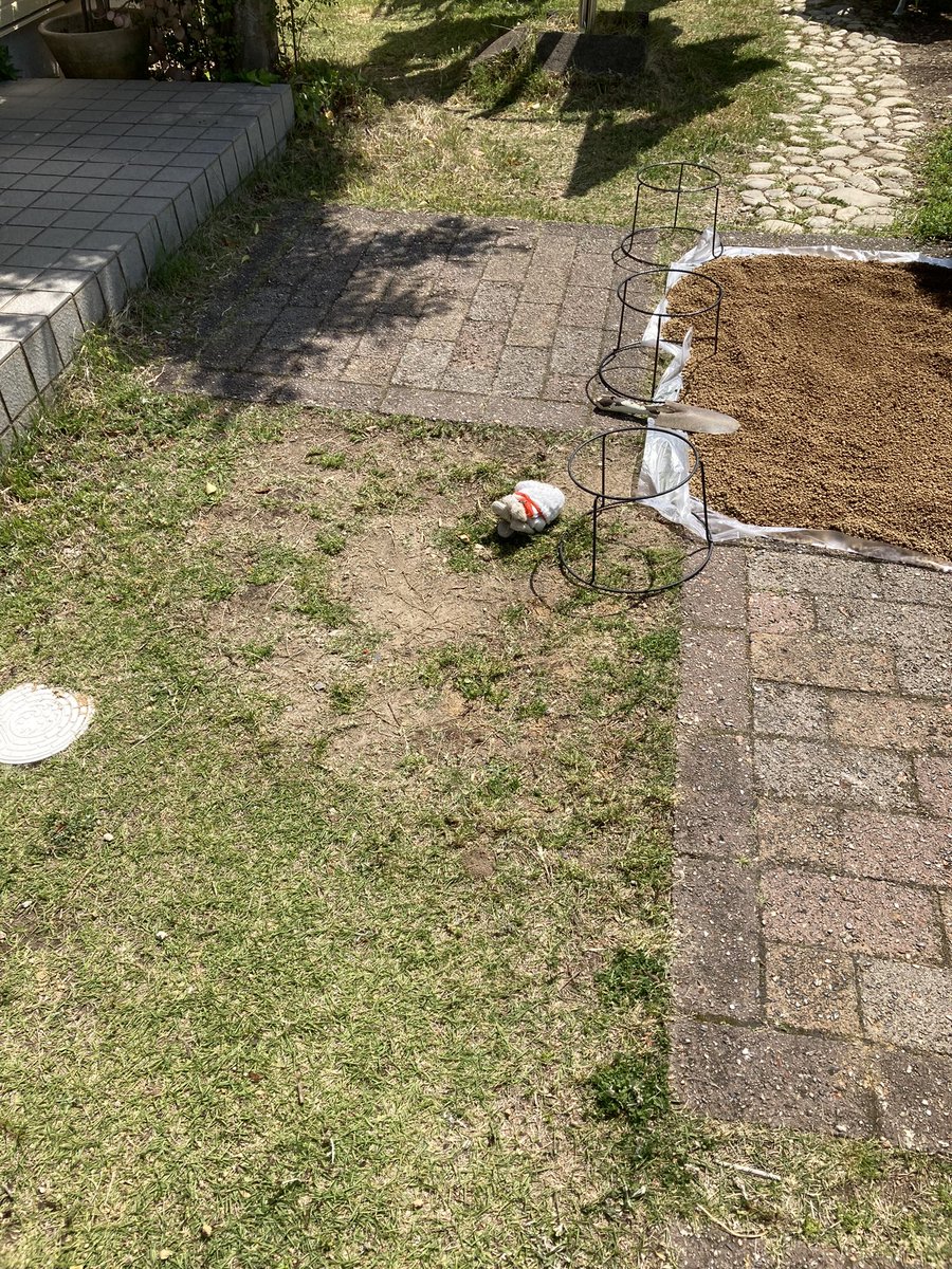 yungD_S's tweet photo. 買い物から帰ってきたら
RJが落ちてる‼︎
って駆け寄ったら…
軍手だった…🤣🤣🤣 https://t.co/otIdVWIiZO