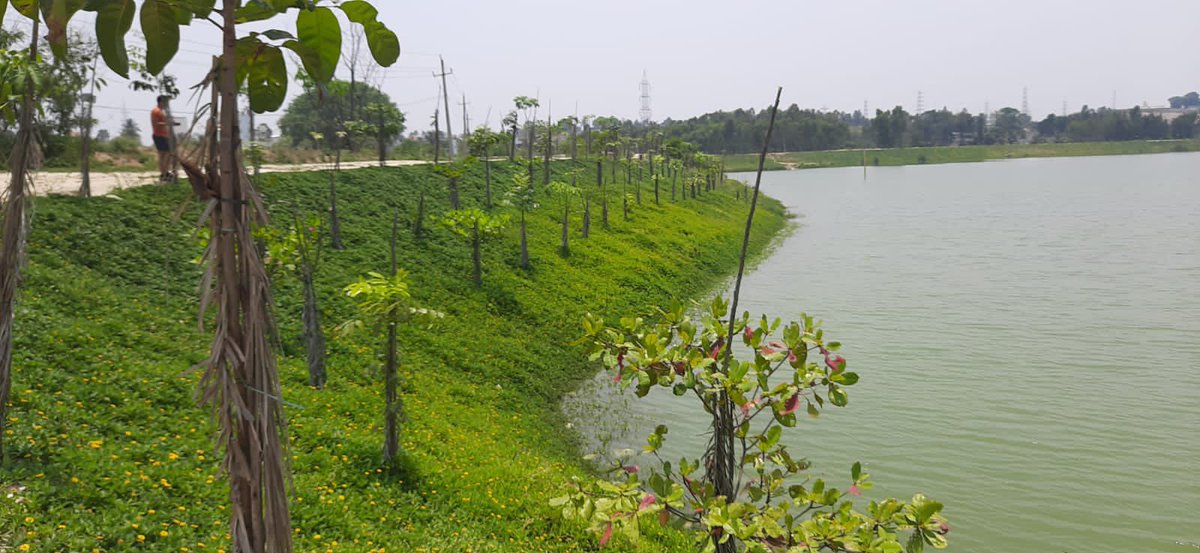 AMalligavad's tweet photo. Our 10th Lake Bingipura Today https://t.co/H2J80TcnHo