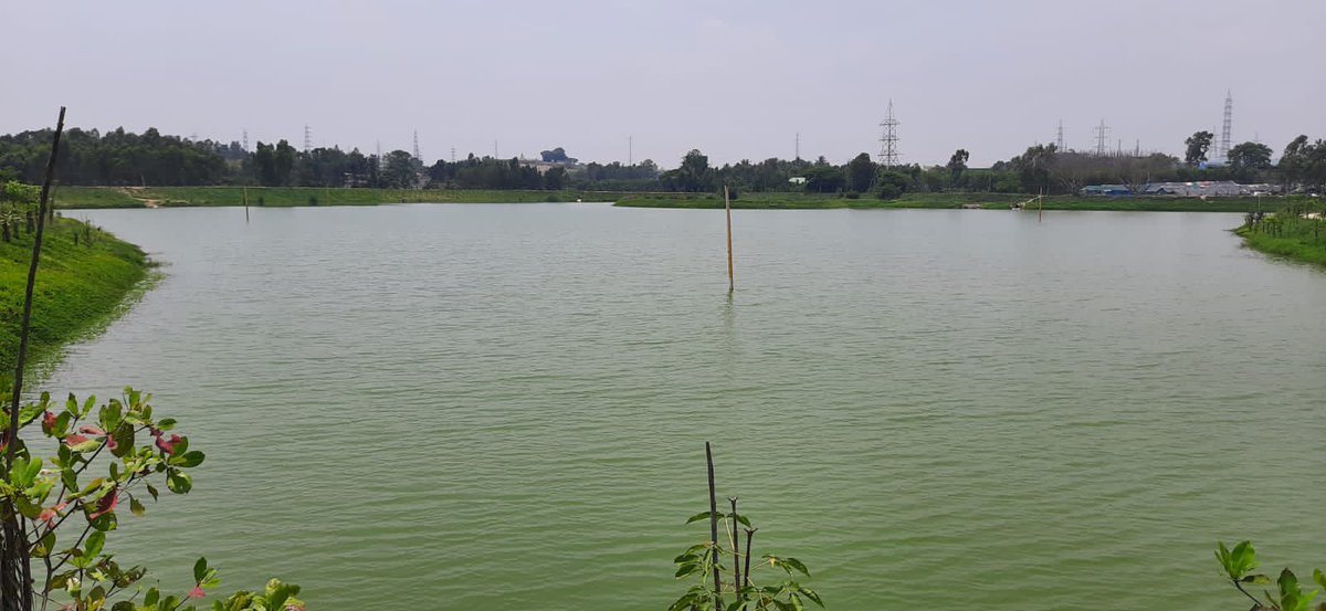 AMalligavad's tweet photo. Our 10th Lake Bingipura Today https://t.co/H2J80TcnHo
