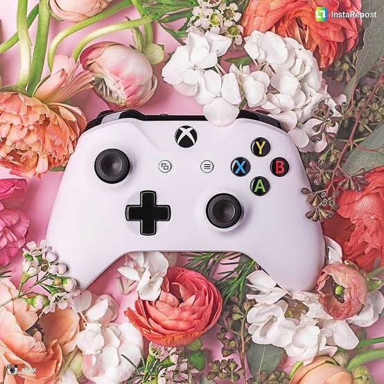 QueenBeeTeam_'s tweet photo. Happy Mothers Day to our LIBR family. We hope you have a beautiful day today. 💐 🎁 #MothersDay2022 #furbaby #babies #gamingmums #mumswhogame https://t.co/YBErrViMBq