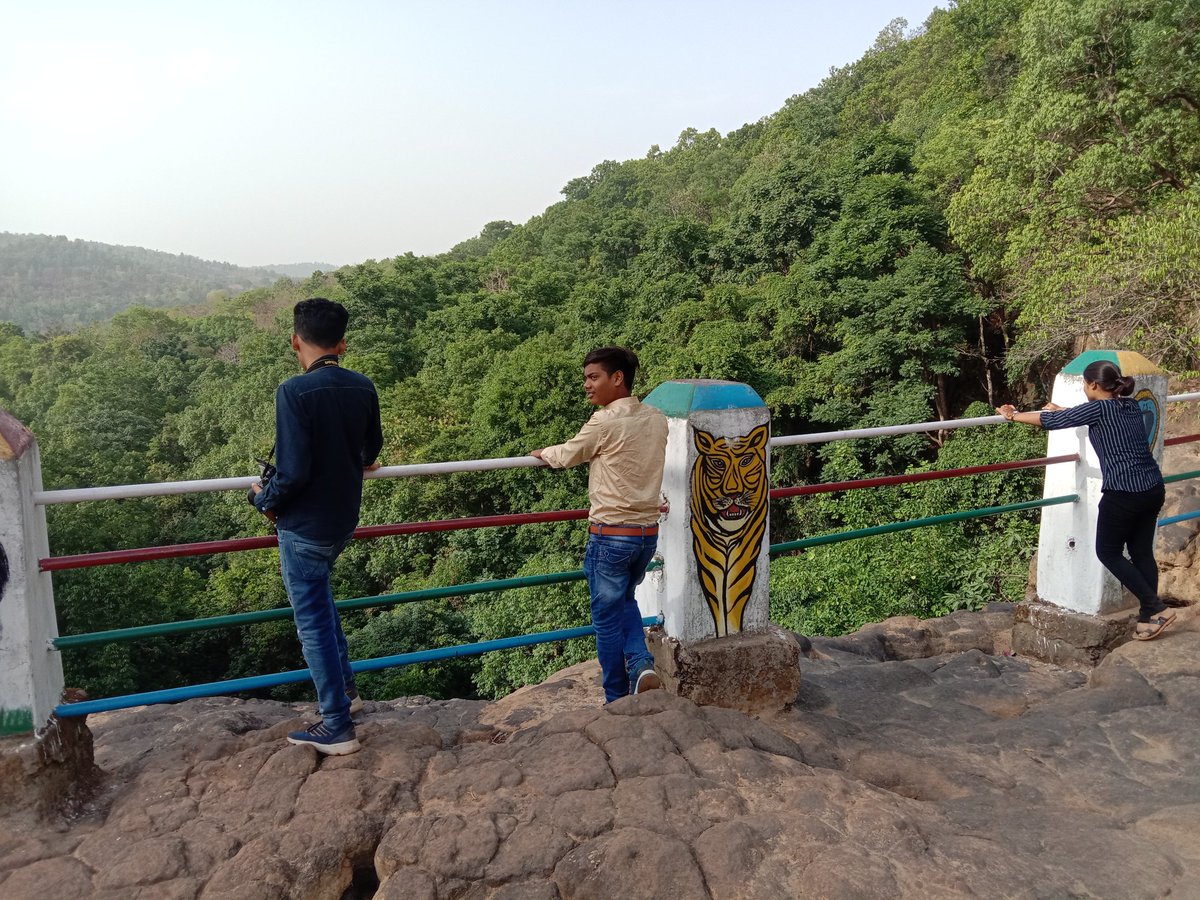 bhanwar_raja's tweet photo. You can live without money but you can't live without forest. So preserve it .
#SaveHasdeo https://t.co/ashU7J45qR