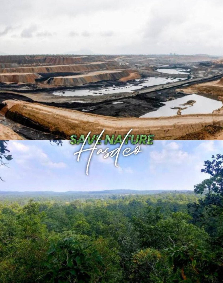 aditya_singh_om's tweet photo. #SaveHasdeo
Hasdeo forest is responsible for mansoon in chhattisgarh if hasdeo forest is deforested it will fully afect the mansoon season of chhattisgarh https://t.co/qUHZRrW1cT