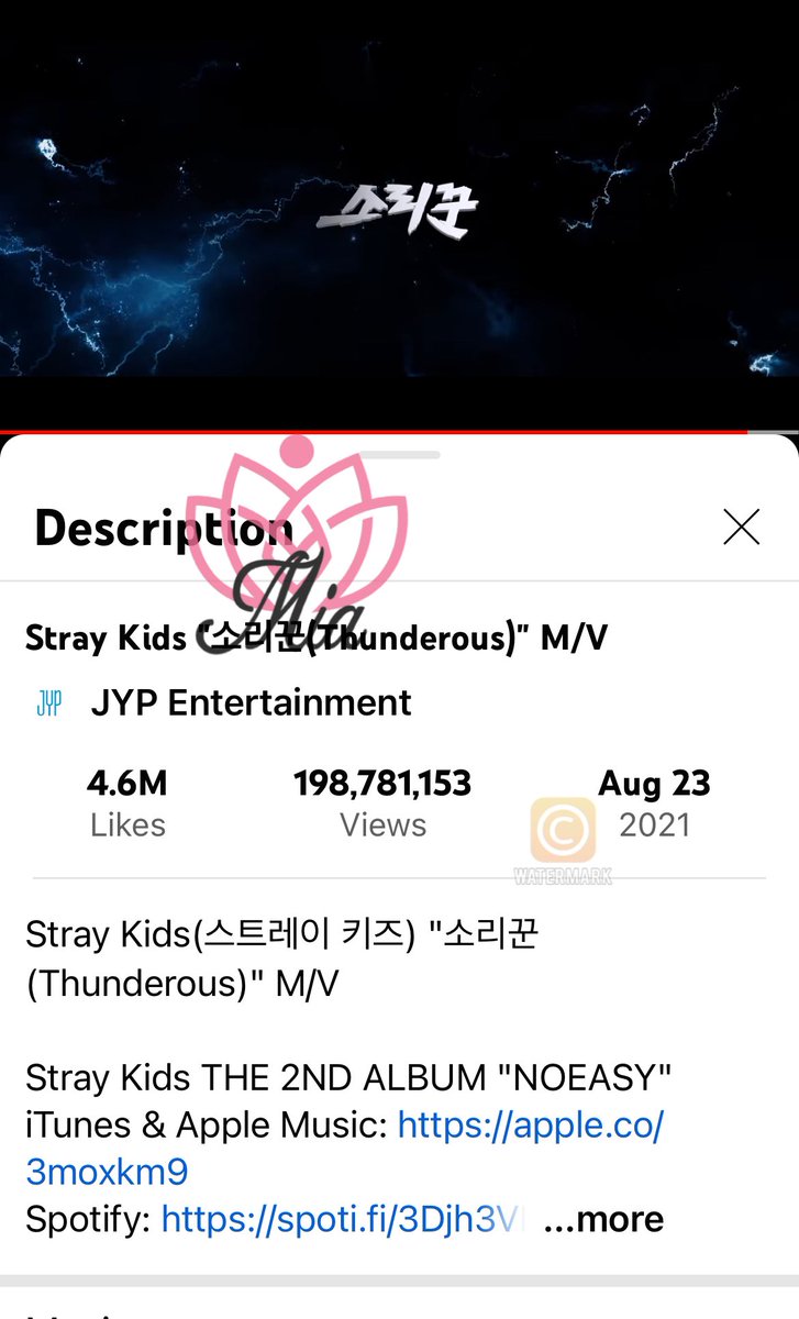 mia893223324's tweet photo. #teamthunderous #roadto200 @Stray_Kids #StrayKids https://t.co/HbsllNixvf https://t.co/zxV5koBL5D