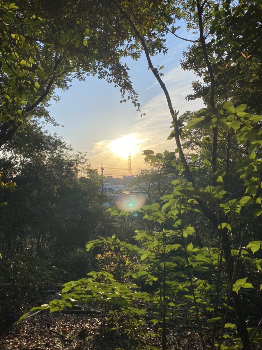 DJSamuraiShadow's tweet photo. ☀️ https://t.co/R1ckq7R0bK