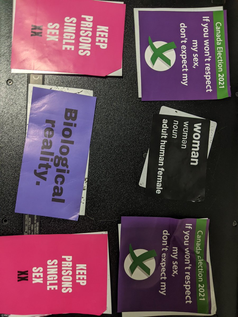 HelenDestroys's tweet photo. (CW-transphobia/transmisogyny)

Heads up y'all. Seems like the #Ontarioelection is getting the transphobic bigots more active in #Ottawa. Pulled these stickers on my walk home. These were in the Rideau-Vanier ward/Ottawa-Vanier district but I'm sure they are elsewhere too. https://t.co/uGQjZEqthZ