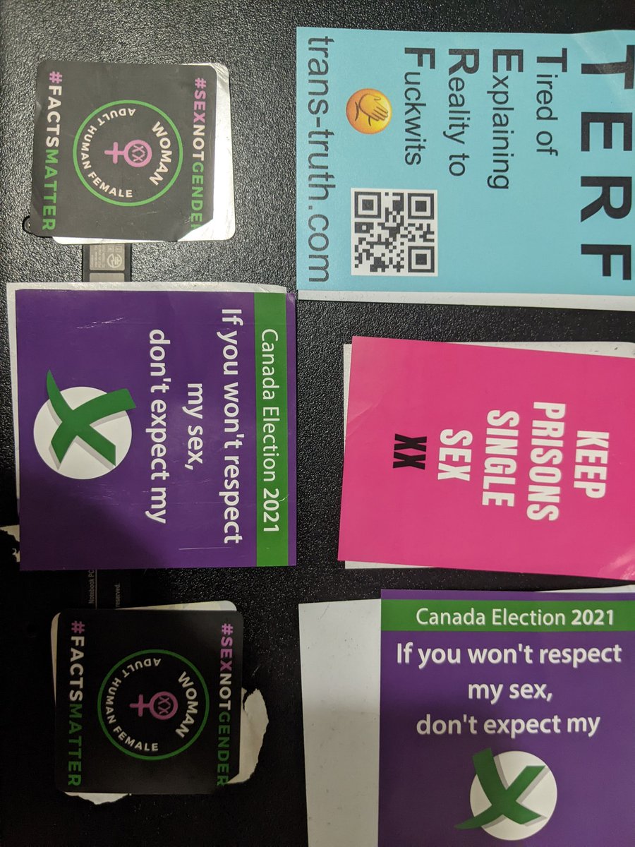HelenDestroys's tweet photo. (CW-transphobia/transmisogyny)

Heads up y'all. Seems like the #Ontarioelection is getting the transphobic bigots more active in #Ottawa. Pulled these stickers on my walk home. These were in the Rideau-Vanier ward/Ottawa-Vanier district but I'm sure they are elsewhere too. https://t.co/uGQjZEqthZ