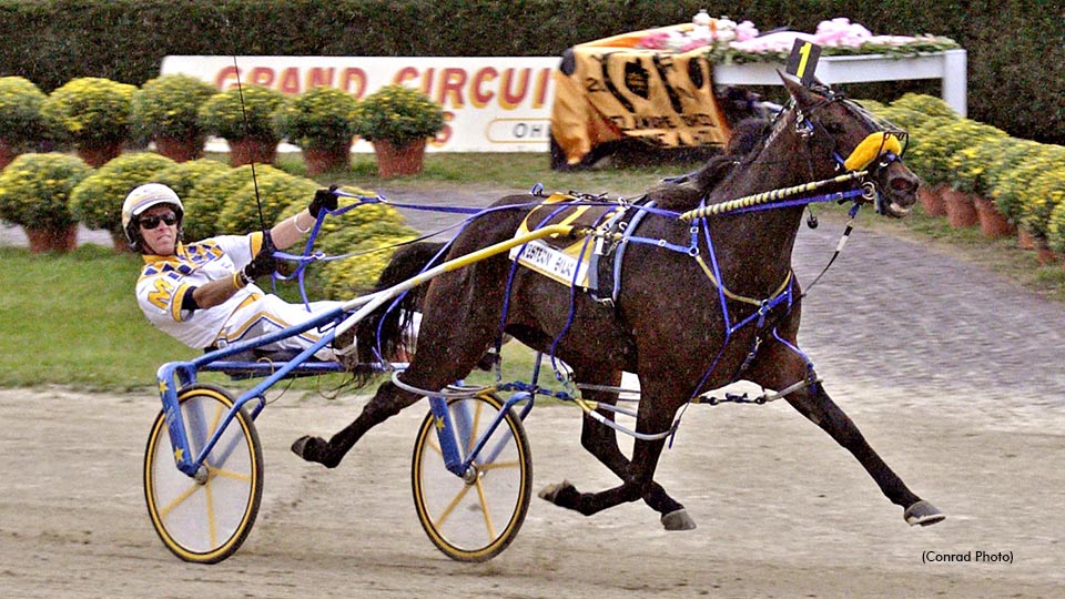 Born #OnThisDay 15 years ago (May 8, 2007), Canadian champion sophomore pacing filly and Jugette winner Western Silk #harnessracing