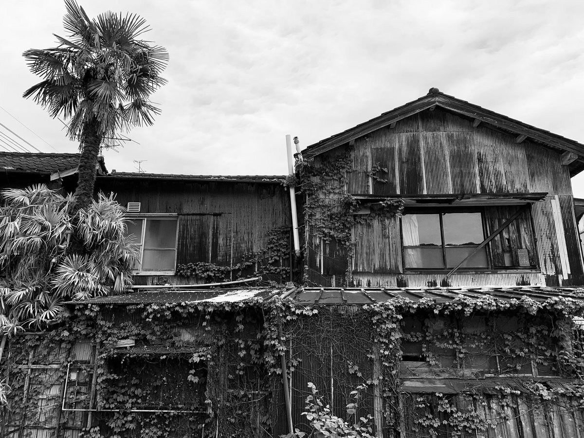 HiroTakeuchi's tweet photo. 主観的小景高知  
Old House.

The scenery of the suburbs of Kochi City in Japan from my point of view and the interesting parts.   

#Oldhouse
#Rust
#Ivy
#dcay
#monochromephotograph
#Monotonephoto
#Blackandgrayphoto https://t.co/r8y6xNs7XZ