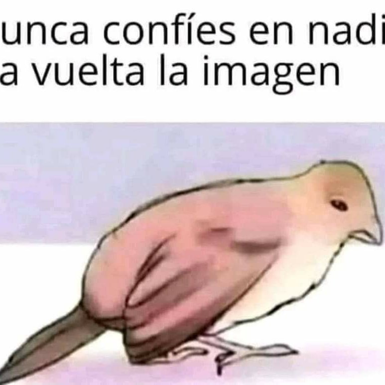 RRIATABACHES's tweet photo. Solo l@s, inteligentes se darán cuenta https://t.co/i6rWwn20KX