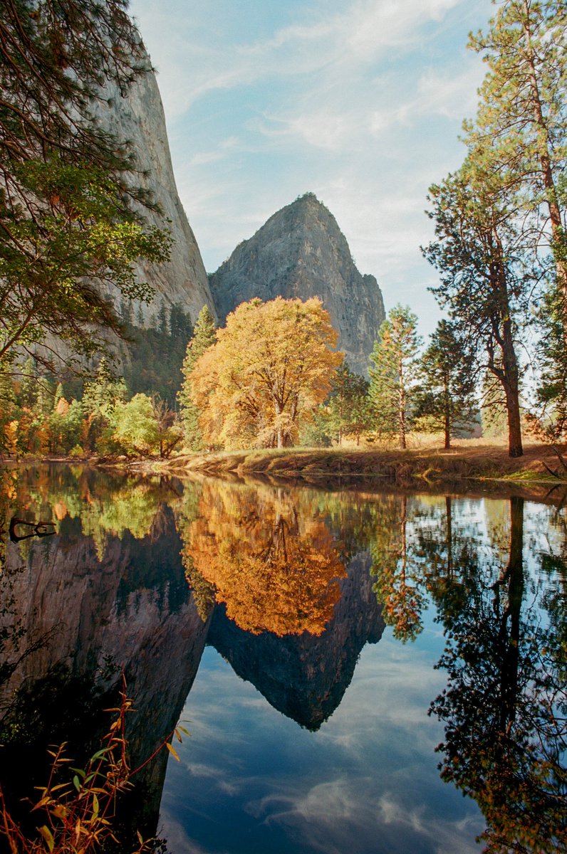 Yosemite on 35mm 🎞