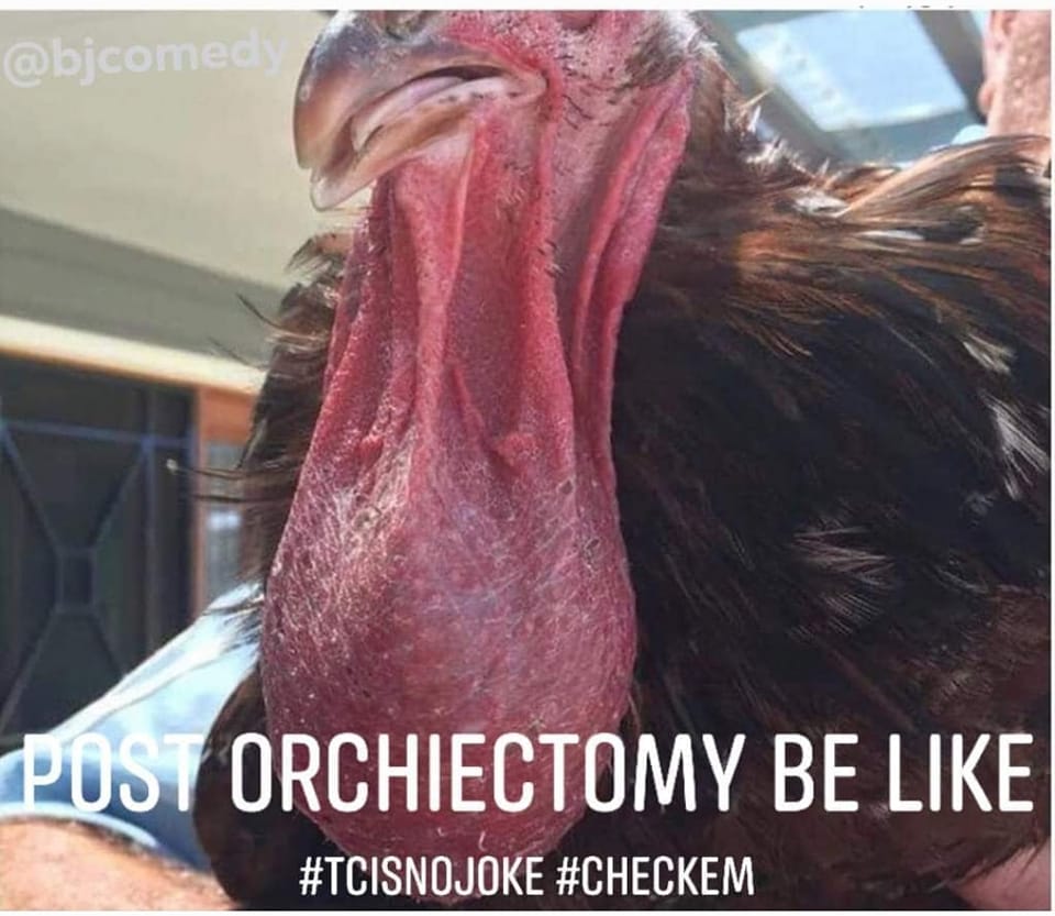 BjComedy's tweet photo. Ballin'.
🤔 Who else felt like this after having one removed?
#TesticularCancer #TestesCancer #TC #swinglowsweetchariot #pendulum https://t.co/jr31hn04mL
