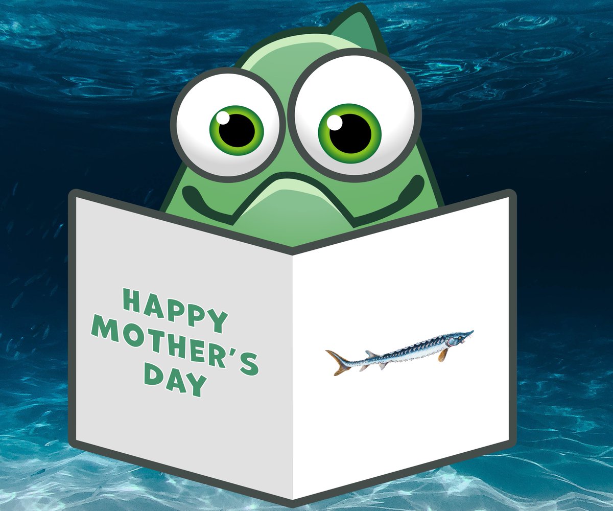 To all the mothers in the world, even the ones from the ocean - Happy Mother's Day 👩‍👦💚

#fishingfinance #defi #bsc #mothersday