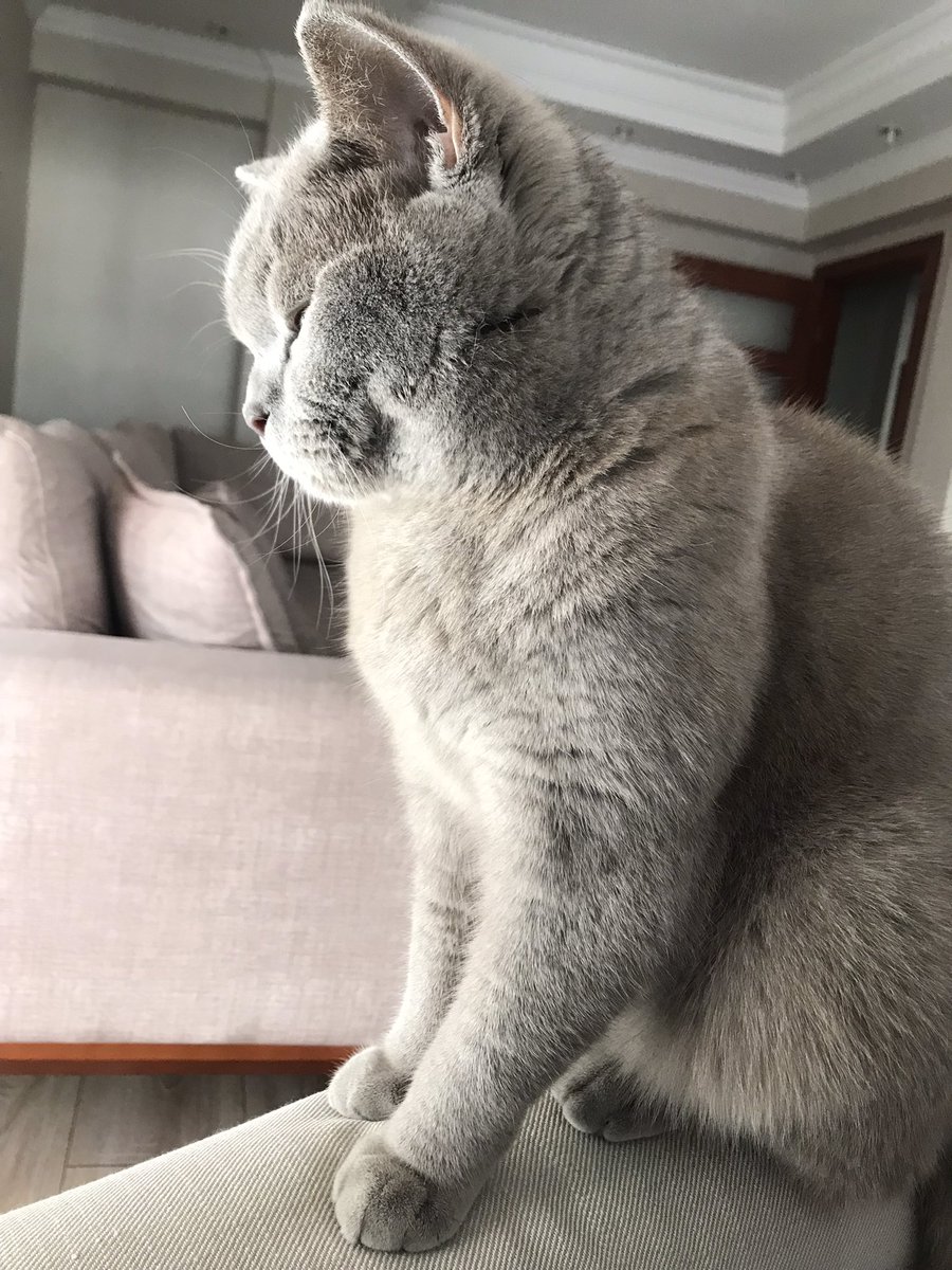 yanaglayım kadan dadlı annelerimisin anneley gönü kudlu ossun 🤍 #MothersDay