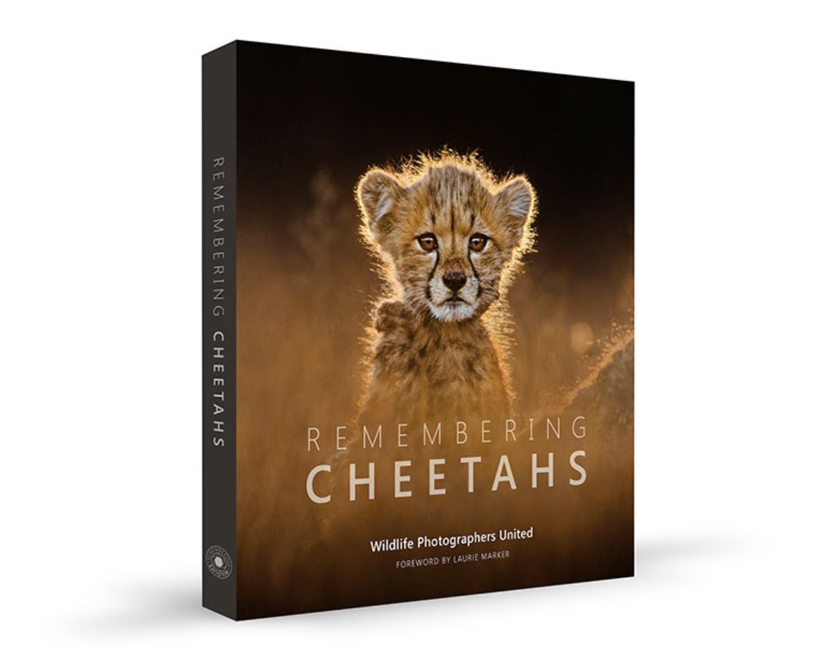 RemembrWildlife's tweet photo. Honoured to learn that #rememberingcheetahs has won GOLD in the Nature category of the Independent Publishers Awards 2022 🙏🏻 Over £150k/$200k USD been distributed to conservation by it so far. Huge congrats to ed/design team &amp; all contributing photographers! ❤️ https://t.co/qlQTRb0LM5