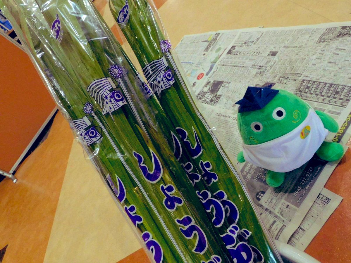 smile__eda's tweet photo. 【森の妖精🛀🛁🛀🛁菖蒲湯に入る】

既存施設で🎏端午の節句に・・・

無病息災の祈りを込め🙏、菖蒲のもつ強い香りのするお風呂に入り、邪気を払いました♨️✨

＃スミール荏田　＃新規オープン　＃特養　＃介護職員　＃看護職員　　＃レクリエーション　＃ショートステイ　#森の妖精　#菖蒲湯 https://t.co/h8STwHkxwA