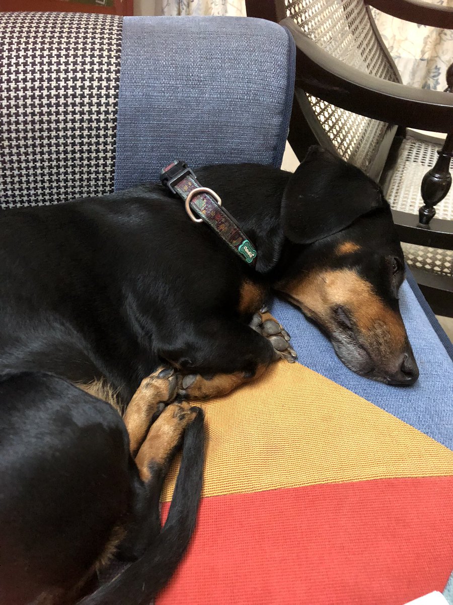 Bikramjit Ray tweet media