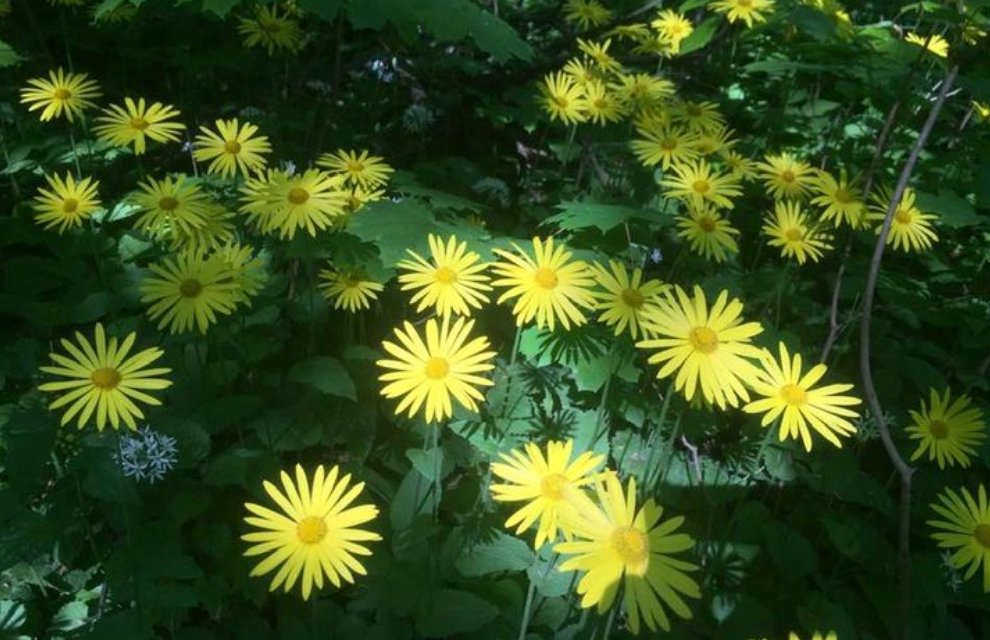 christian cummins tweet media