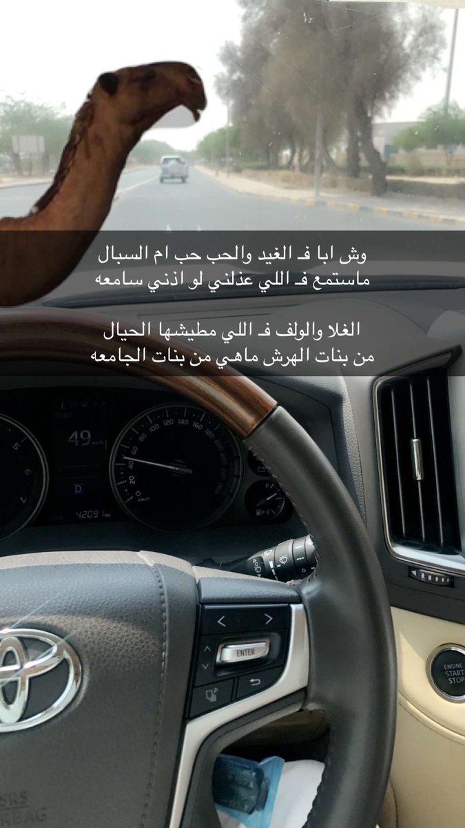 ناصر tweet media