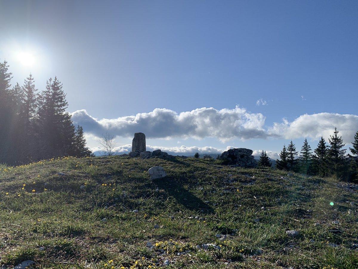 Robrobrob tweet media