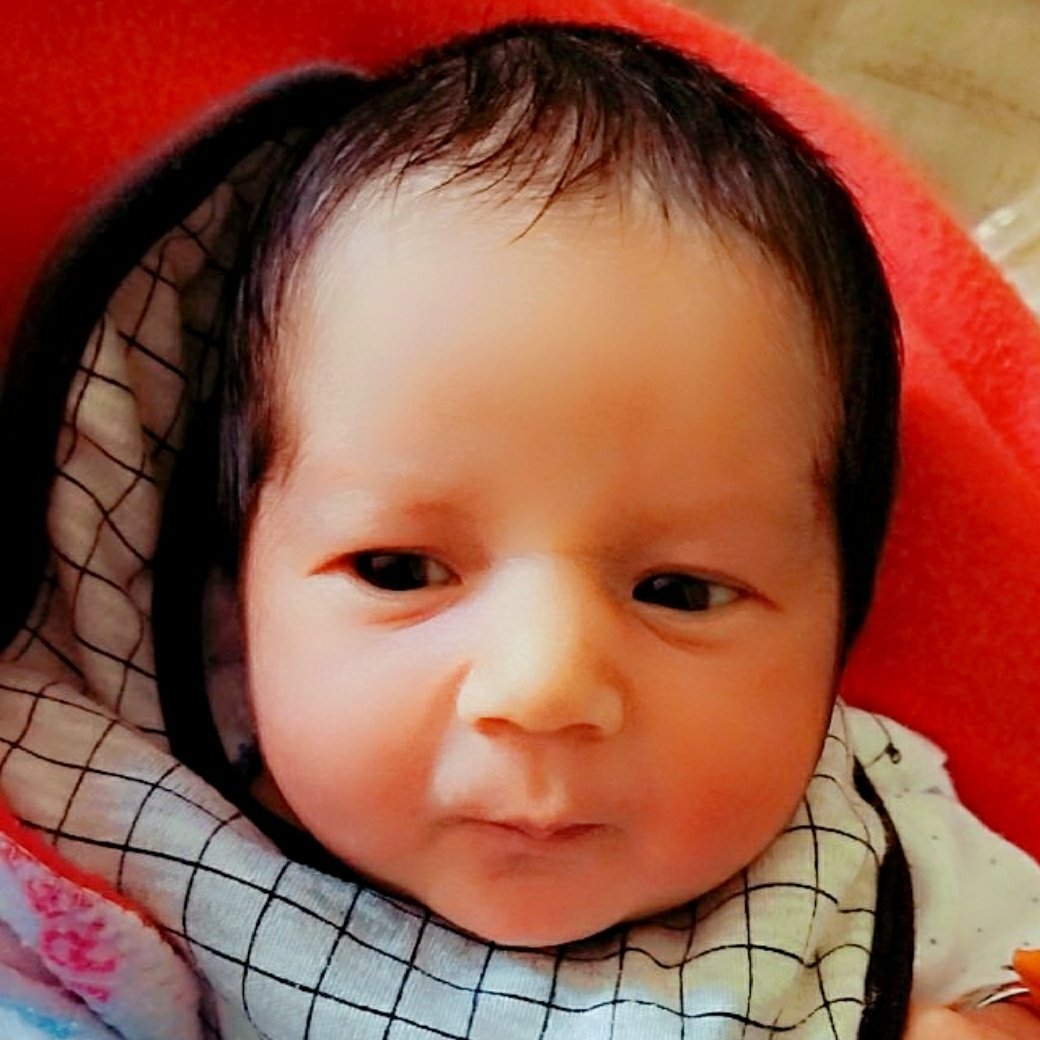 #ਹਰਫ਼ਤਹਿ ਸਿੰਘ 🥰