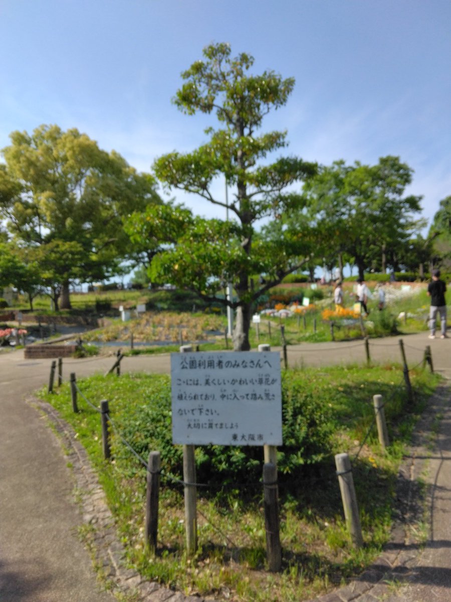 guigan's tweet photo. ゴールデンウィーク最終日もバーベキュー日和!
GoodBBQ花園中央公園も賑わっております。バーベキュー、楽しんでいただけています(^^)
@hanazono_BBQ
#東大阪市 #手ぶらバーベキュー #GOODBBQ #グッドバーベキュー
https://t.co/0kW45DOVoD https://t.co/Ijql1oaAoj