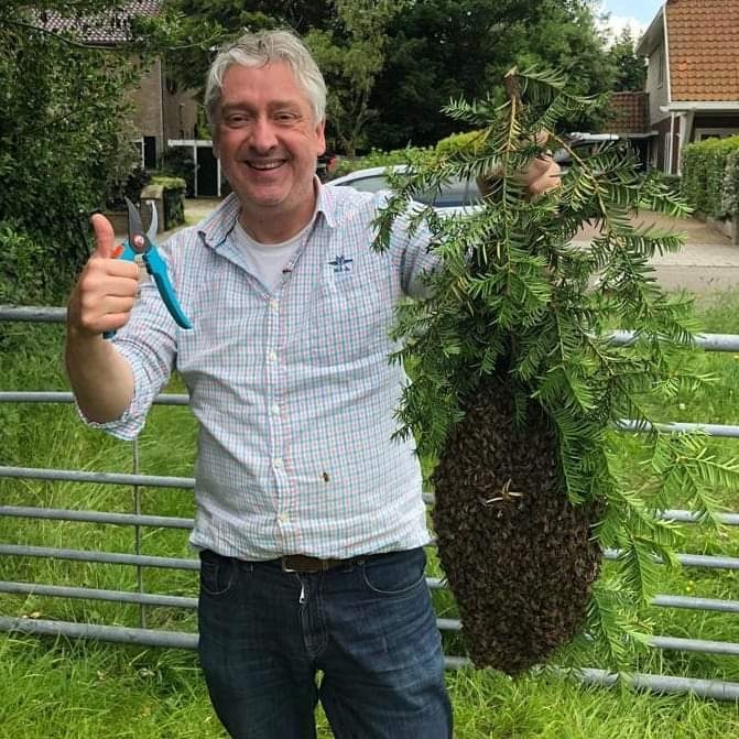 Nederland opgepast! Ook de komende dagen kunnen de bijen zwermen! Bel bij aantreffen een lokale imker en ga aub niet zelf lopen stunten #honingbijen #bijen #imker #bijenzwerm 
bijenhouders.nl/bijenwerk/bije…