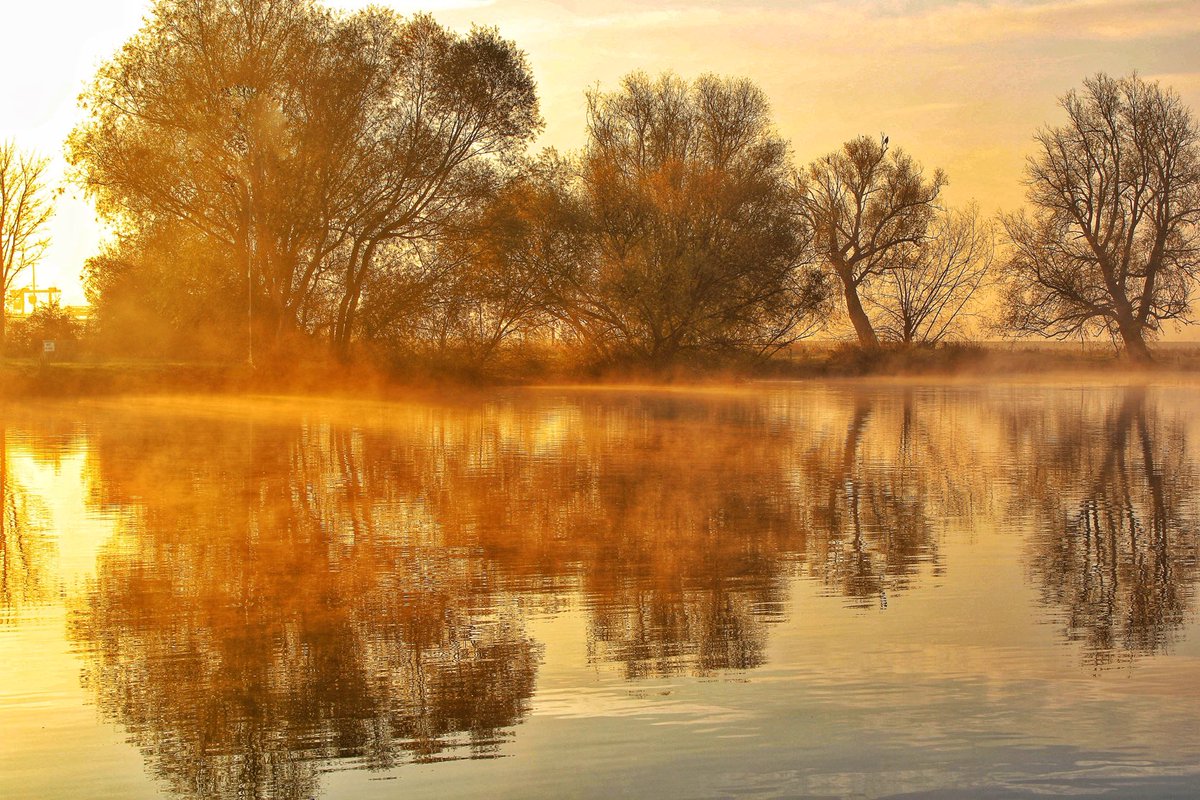 ☀️Morning! 💛
#sundayyellow #sunrise #mistymornings #downbytheriver #river #reflections #villageviews #landscapephotography #thefens #peaceful #sundayvibes