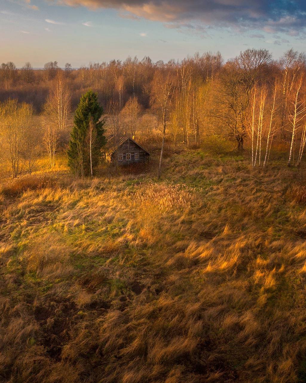 Куяны Новгородская область