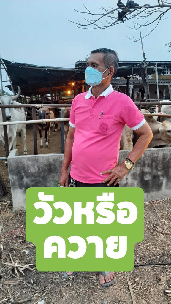 SaSnthi's tweet photo. @Bowbankook https://t.co/Gq8THYy0di