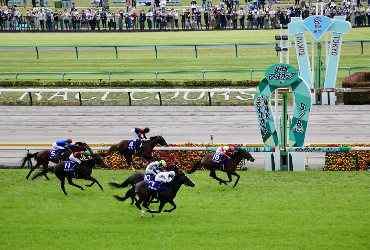 特価ブランド 単勝馬券 第115回天皇賞 春 ポレール Www Health Worx Co Za