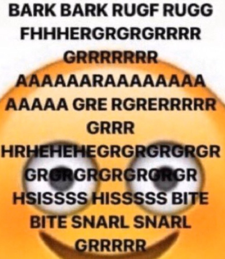 amemiya kotone! tweet media