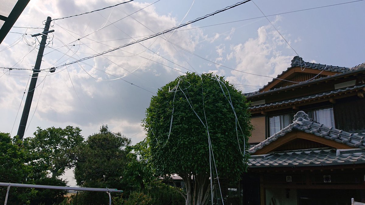 那田蜘蛛山みたいだって
どっかから飛んできたビニールテープが電線と家に絡まってたヾ(・ω・`;)ﾉ